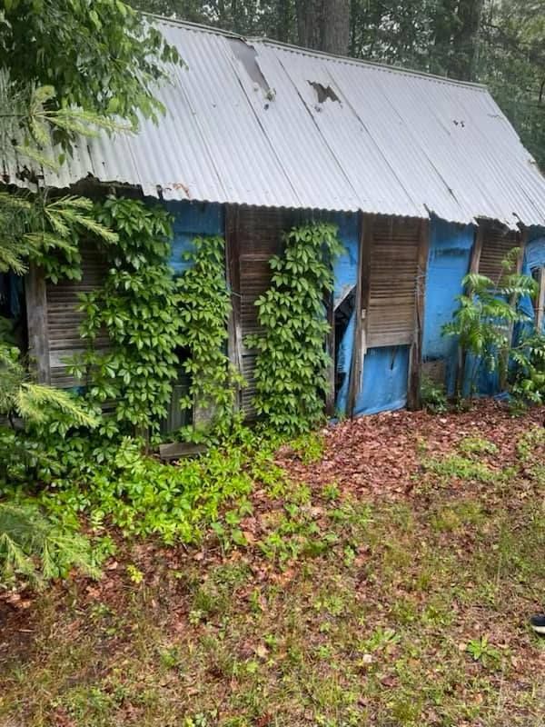 A blue building with a metal roof is surrounded by trees.