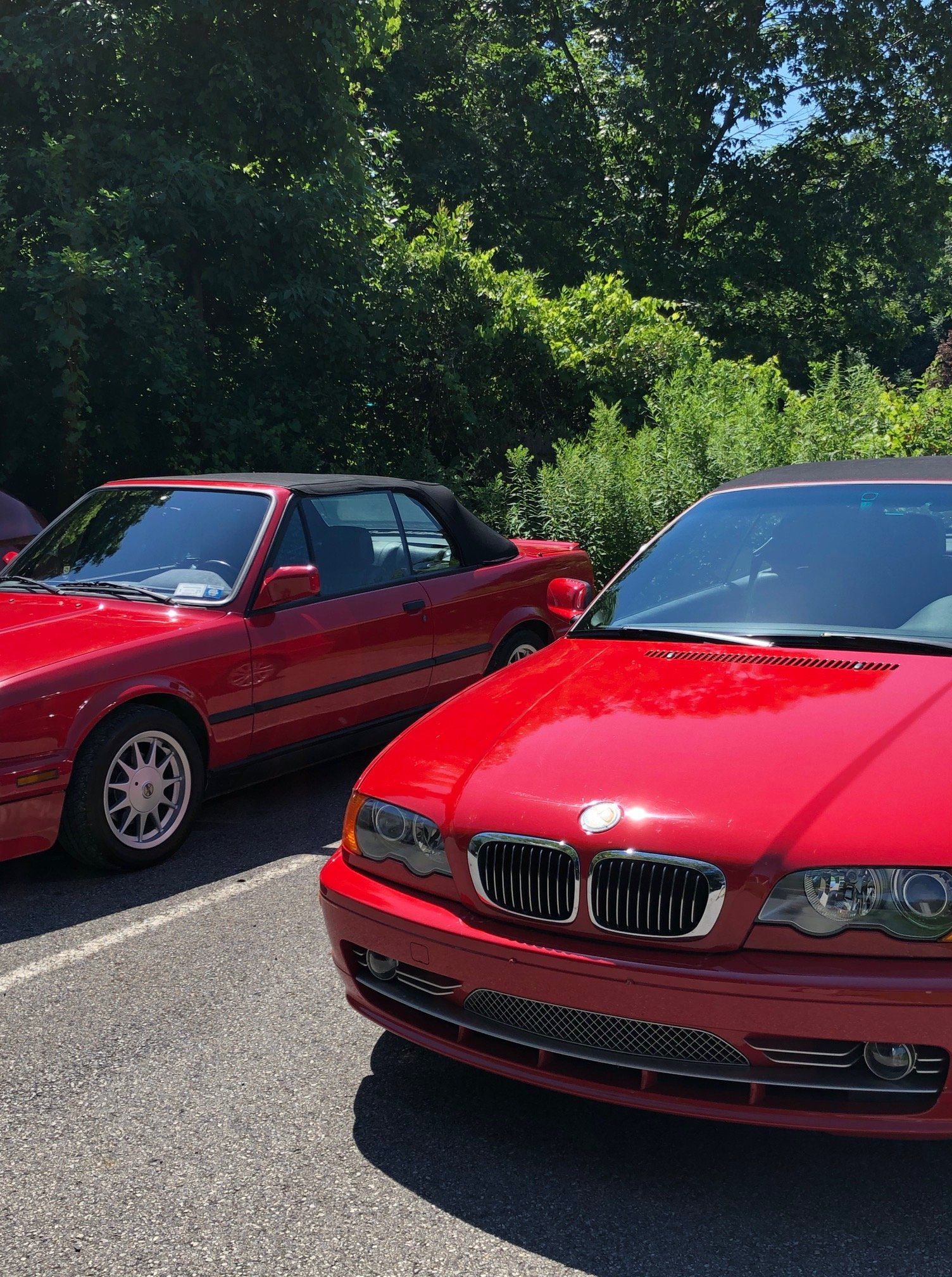 Red cars ━ Albany, NY ━ Capitalland Glass