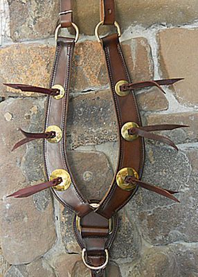 Brown leather horse breast collar with decorative spikes.