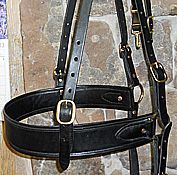 Black leather horse bridle with brass buckles against a stone wall.