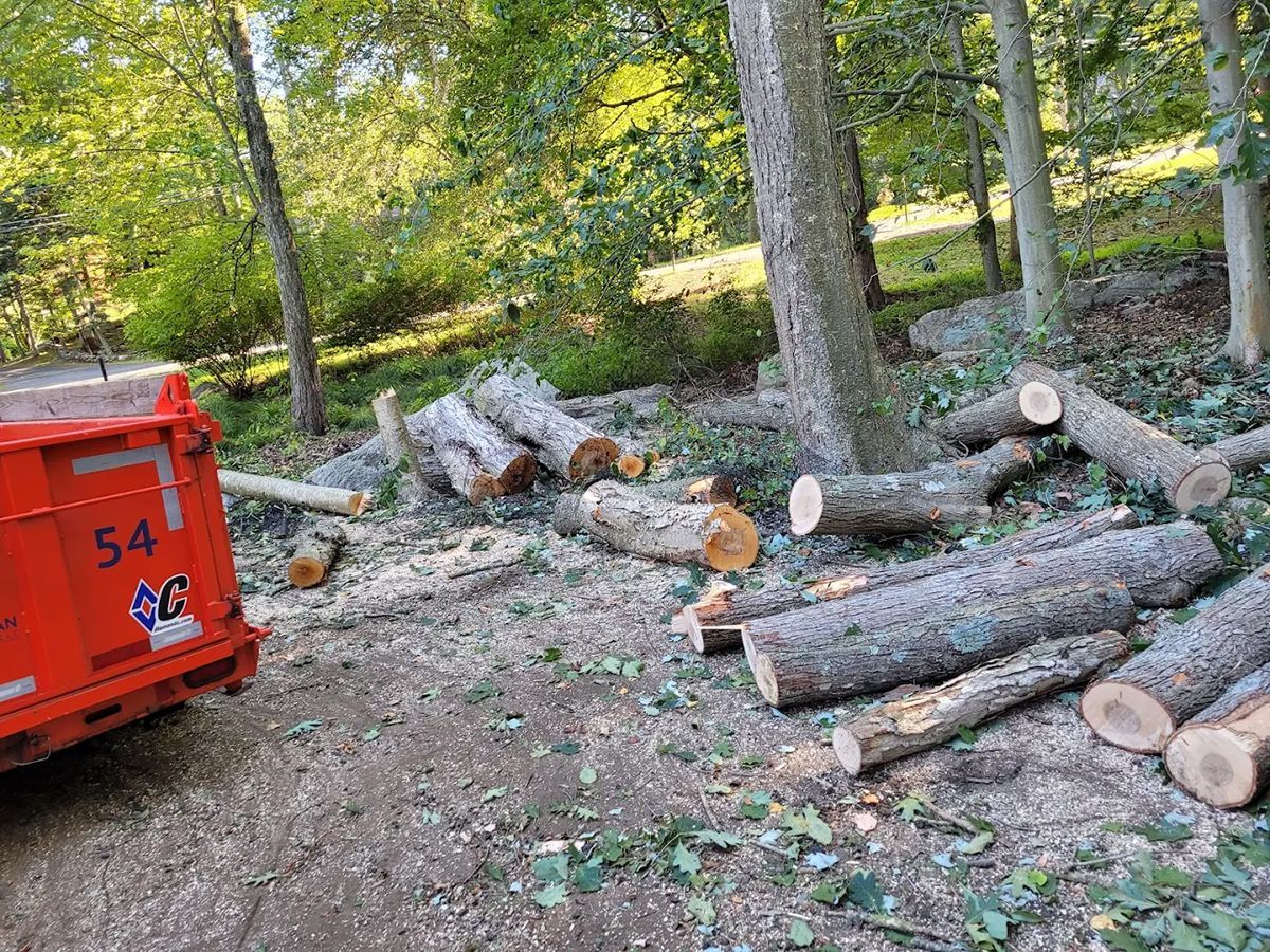 Cut logs and debris on the ground near an orange dumpster in a wooded area.