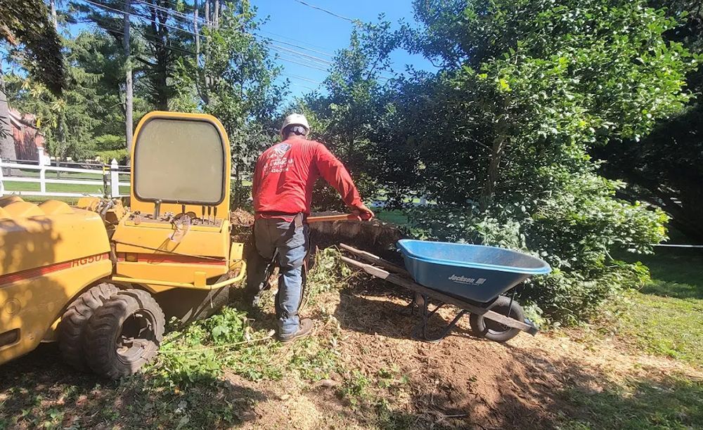 Man in red shirt operating wood chipper, placing debris into a wheelbarrow. Outdoors, sunny day.
