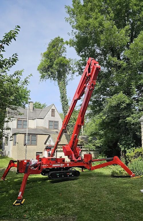 Red spider lift extending towards a tall tree in a residential yard. A house is in the background.