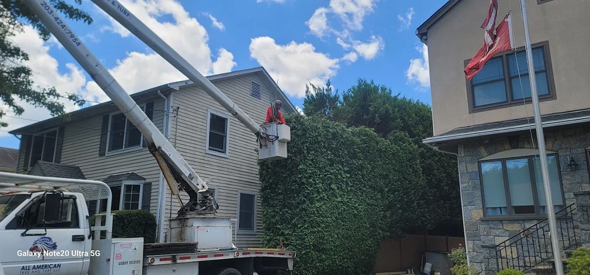 A tree trimming service is using a lift to work on a large bush next to a two story house.