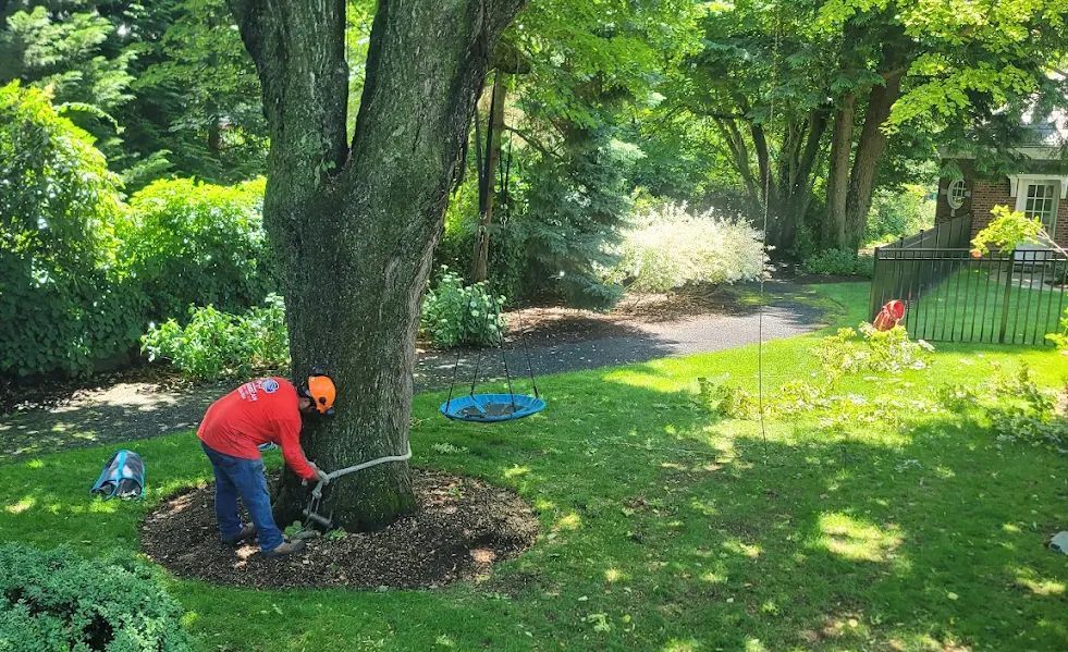 Man in orange shirt cutting tree trunk in a yard, green grass, foliage, sunny day.