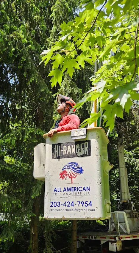 Two people in a lift bucket trimming a tree. The bucket has the 