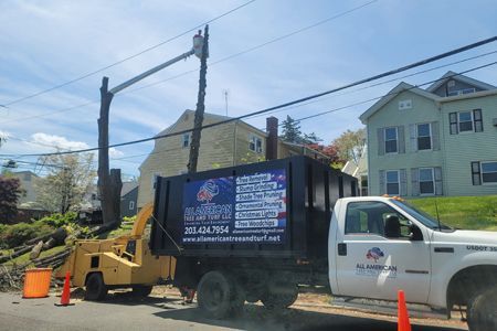 A tree service truck and chipper next to a partially cut tree near power lines and residential buildings.