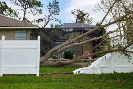 Fallen tree trunk on a screened-in patio, damaging a white fence. Outdoors, daytime.