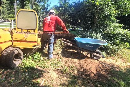 Man operating a yellow stump grinder, loading wood chips into a blue wheelbarrow. Outdoors, sunny day.