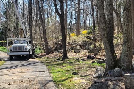 White tree service truck on a driveway, trees in the background, a hillside with yellow flowers, clear sky.