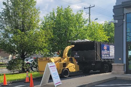 Yellow wood chipper and black dump truck parked near a building with a tree in the background.