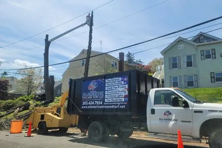 White dump truck and yellow excavator beside a house, with orange cones and a black dumpster on a street.