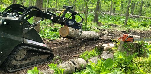 A tracked vehicle with a grapple lifting a log in a forest, a chainsaw on a tree stump.