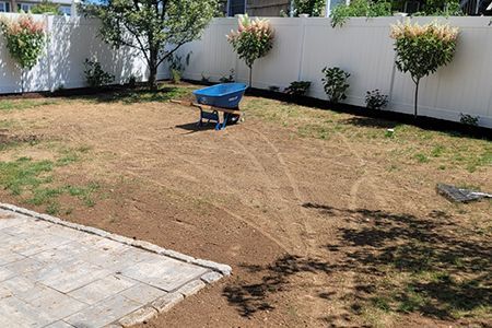 Backyard with a lawn being seeded; blue spreader, white fence, trimmed shrubs, and patio.