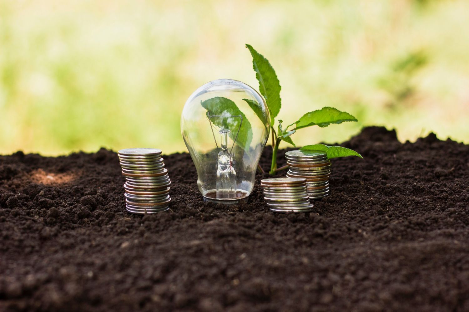 A light bulb with a plant growing out of it is sitting on top of a pile of coins.