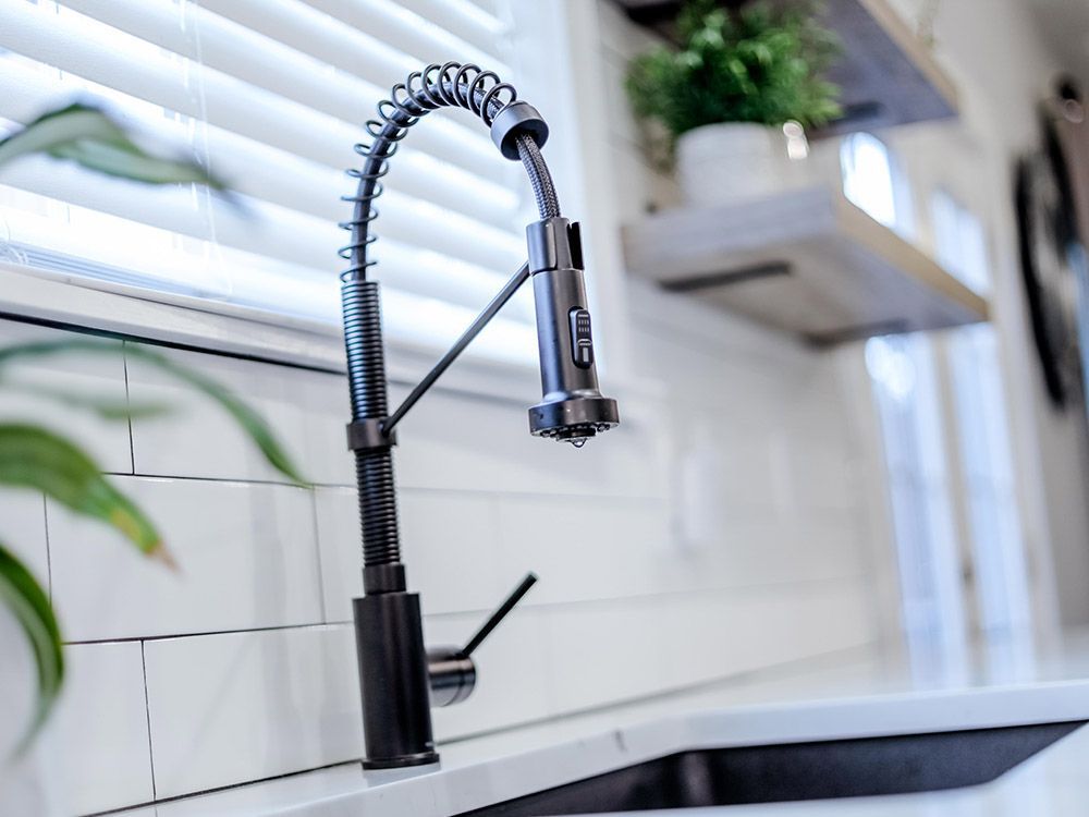 A kitchen sink with a black faucet and a plant in the background.