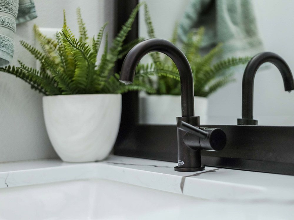 A bathroom sink with two black faucets and a potted plant.