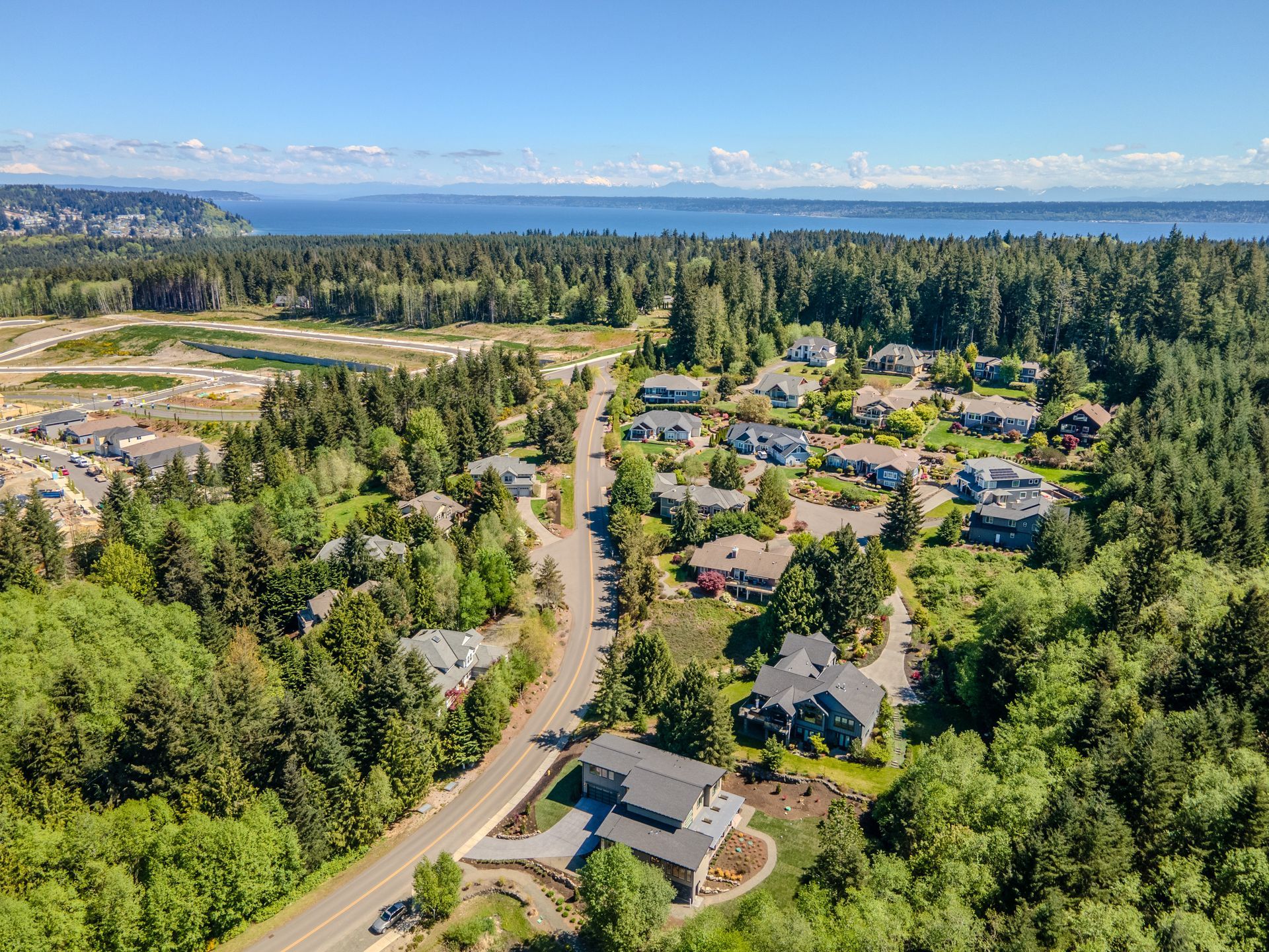 An aerial view of a residential area surrounded by trees and houses.