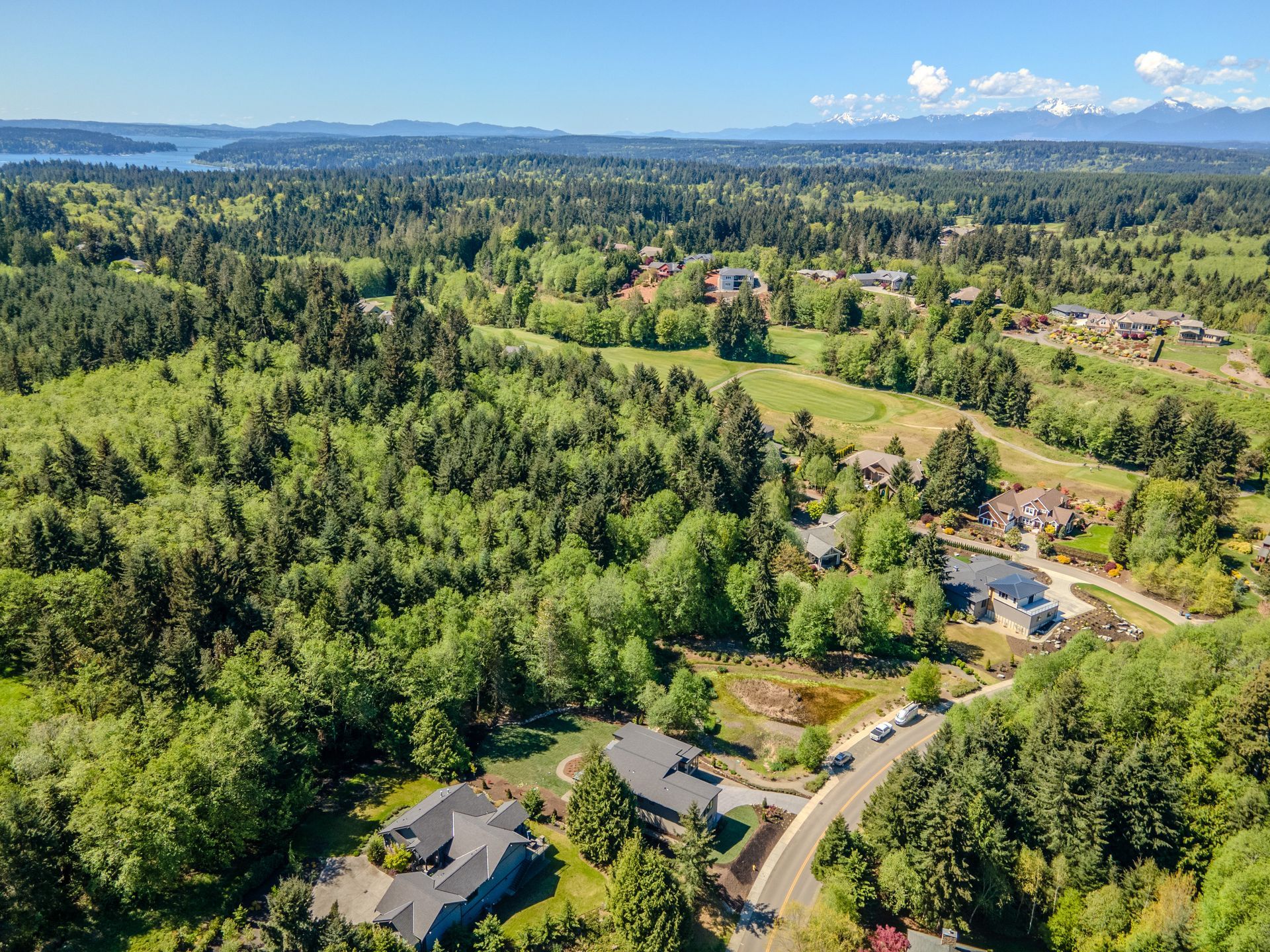 An aerial view of a residential area surrounded by trees and houses.