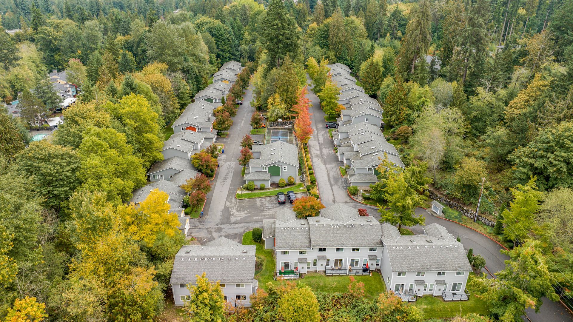 An aerial view of a residential area surrounded by trees and houses.