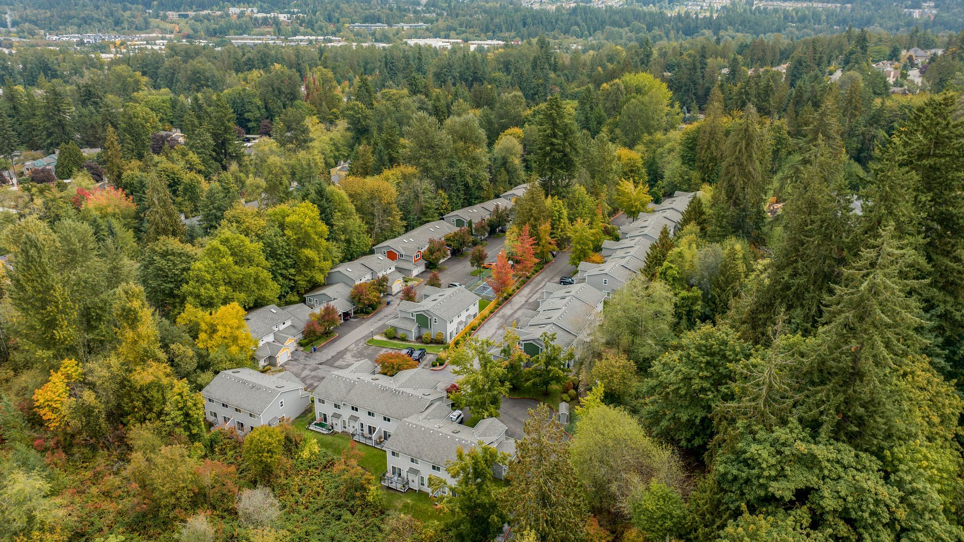 An aerial view of a residential area surrounded by trees.