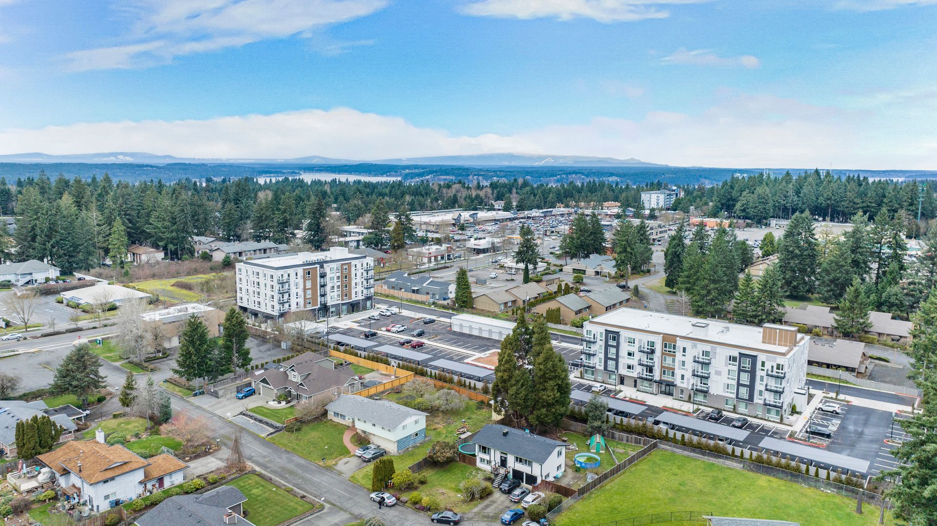 An aerial view of a small town with lots of houses and trees.
