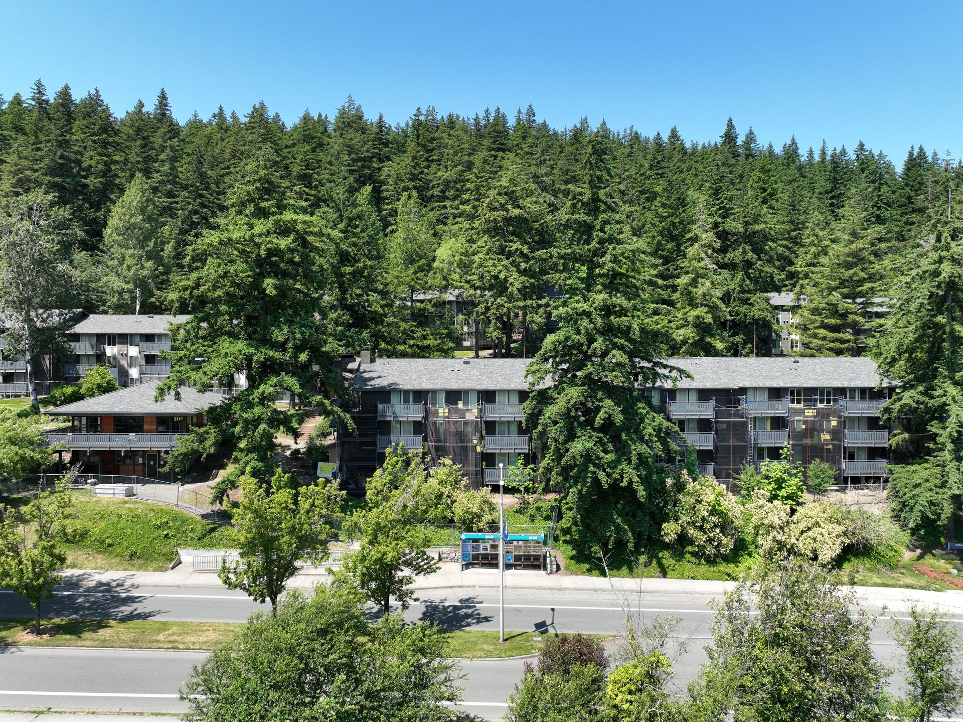 An aerial view of a building in the middle of a forest