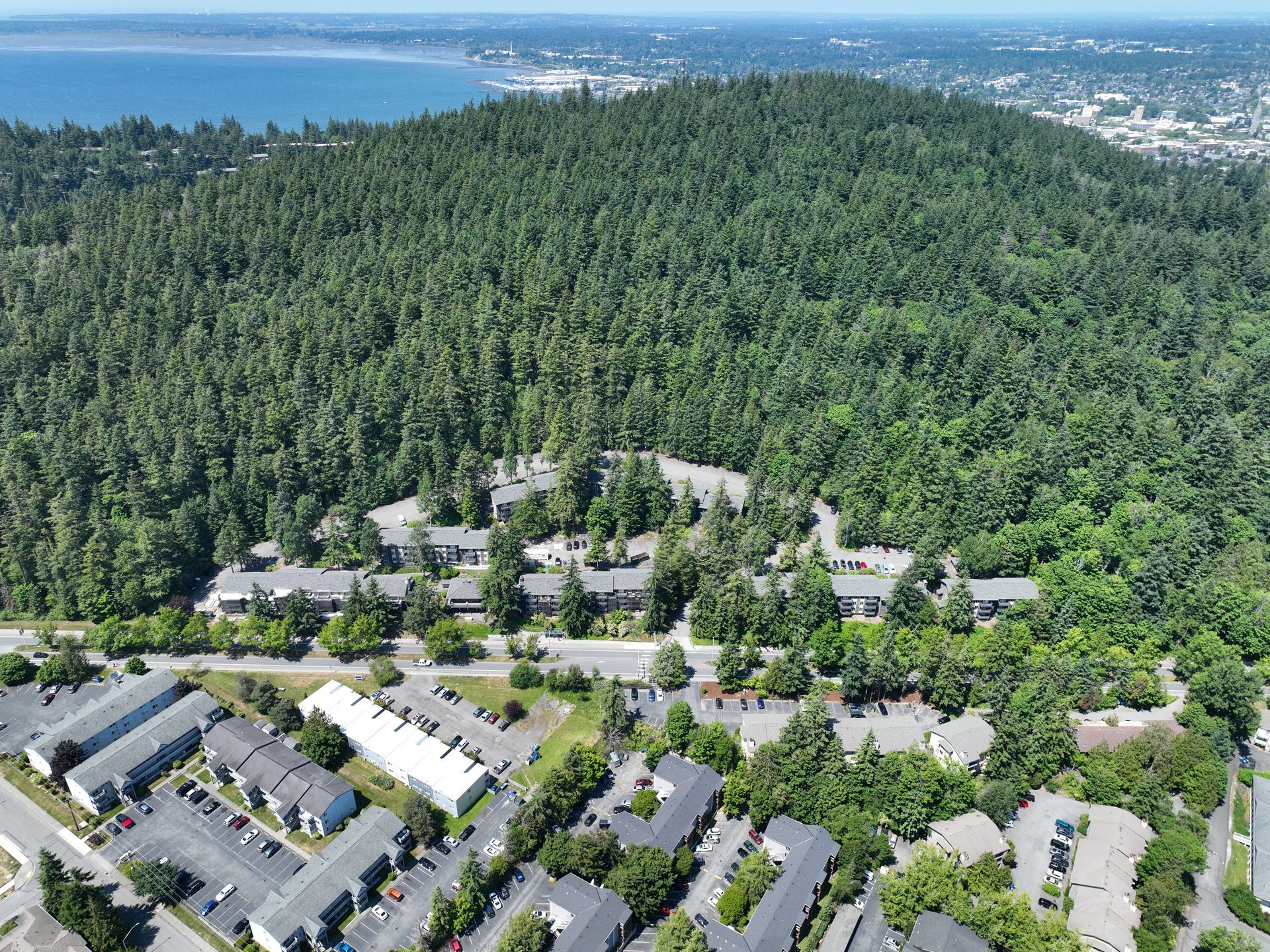 An aerial view of a residential area surrounded by trees and a body of water.