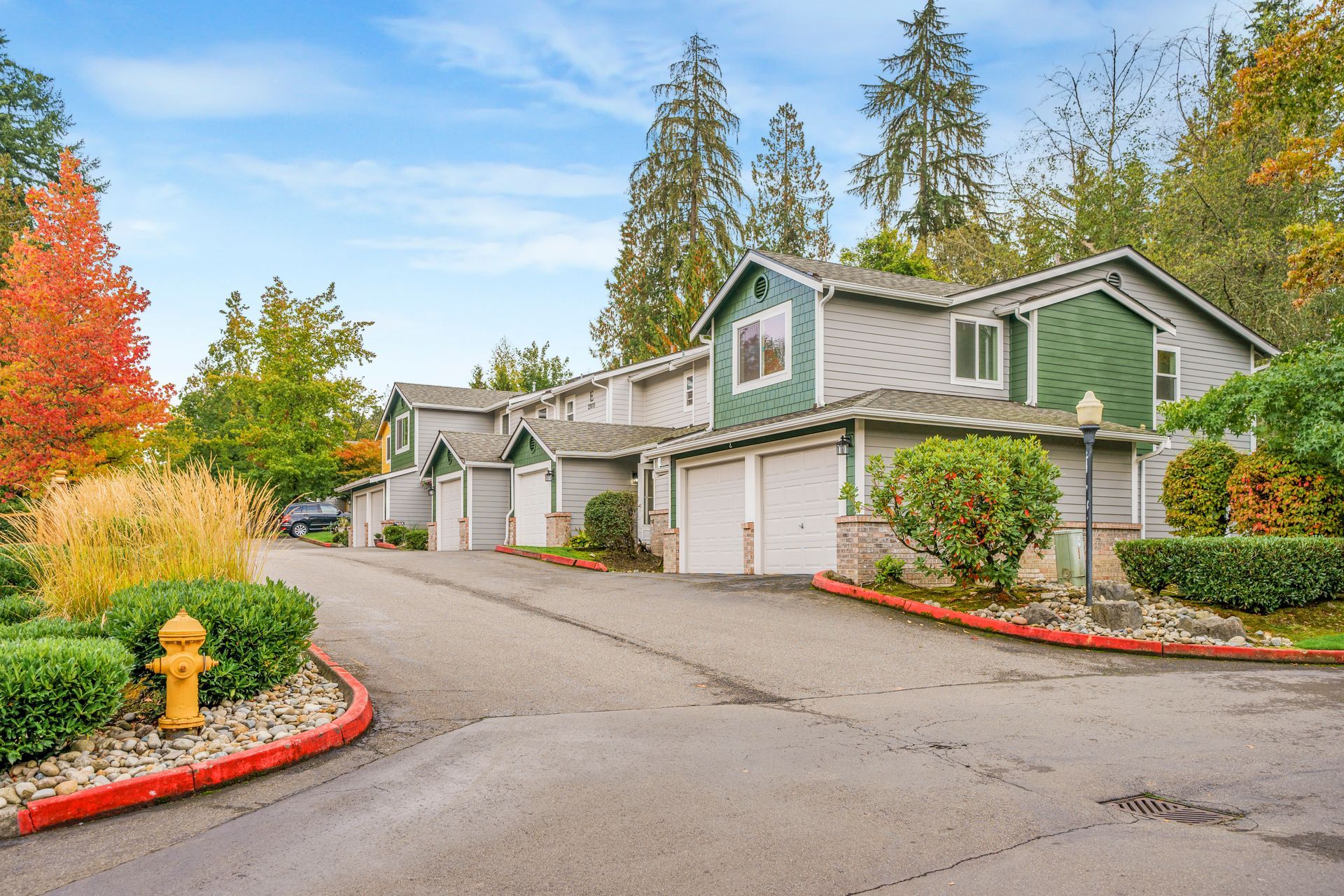 A fire hydrant is on the side of the road in front of a row of houses.