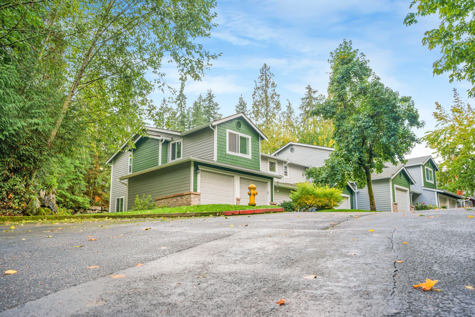 A house with a green roof is sitting on the side of a road surrounded by trees.