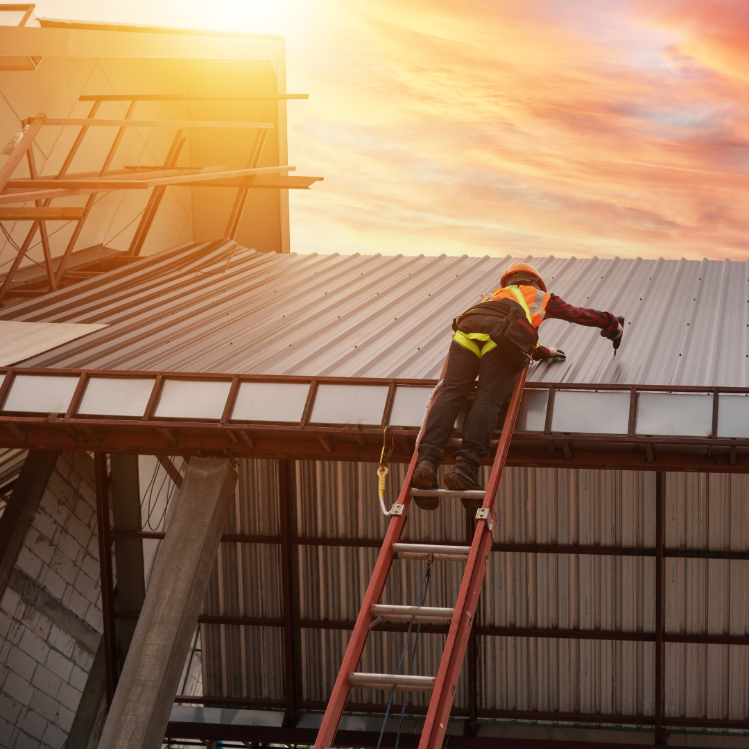 A man is standing on a ladder on top of a metal roof.