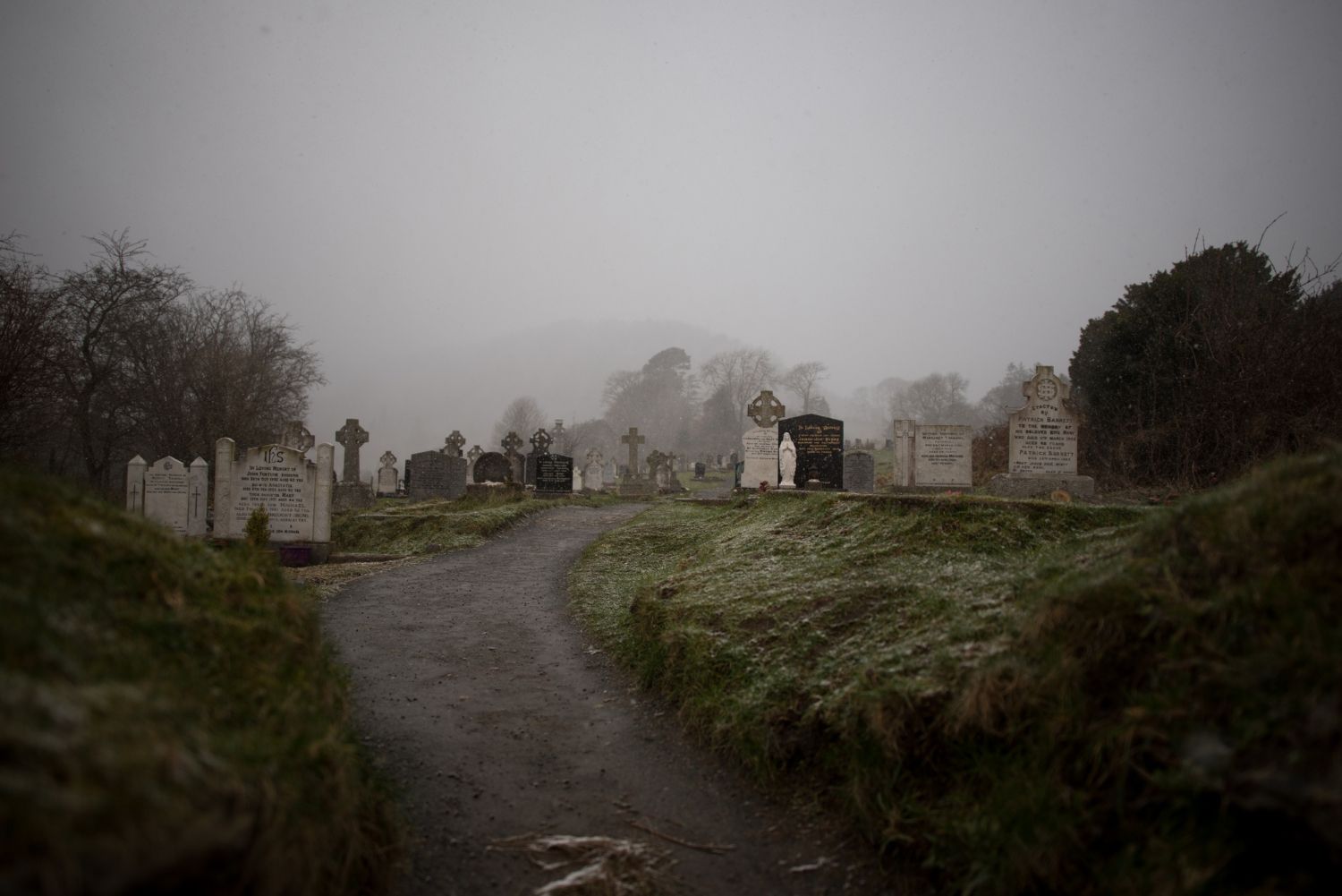 A cemetery with a path leading to it on a foggy day.
