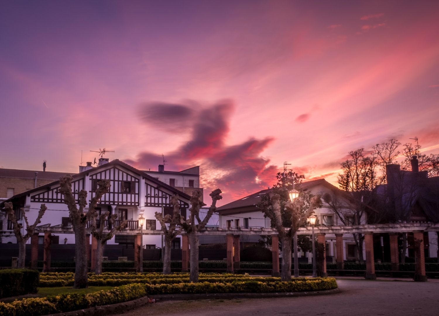 A sunset over a park with a row of houses in the background.