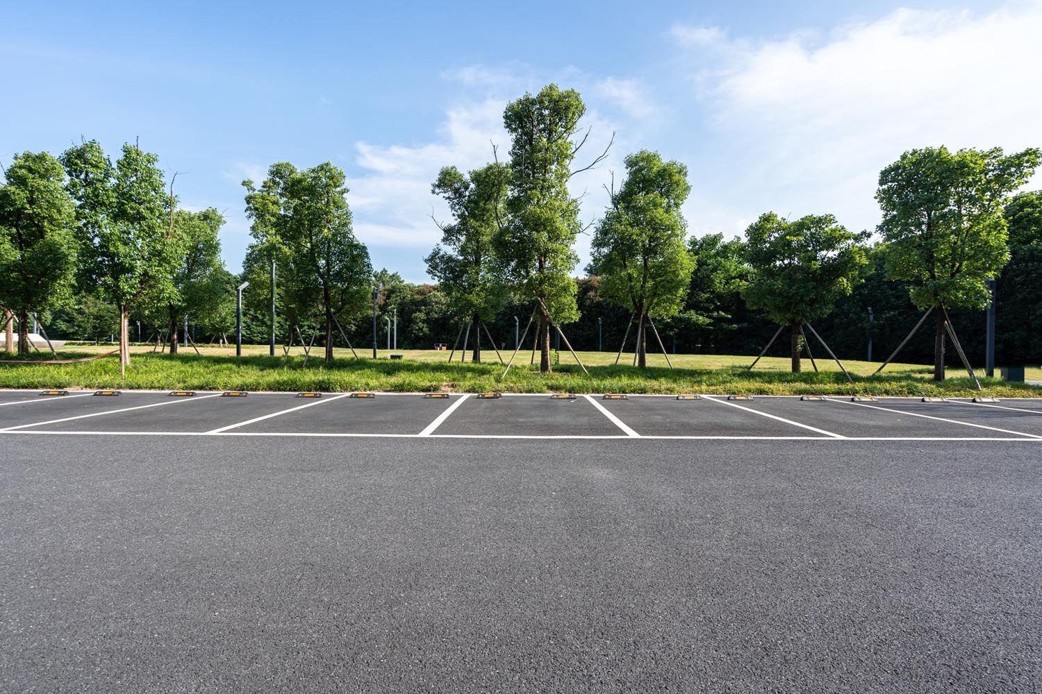 An empty parking lot in a park with trees in the background