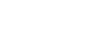 Ultrasound Services llc