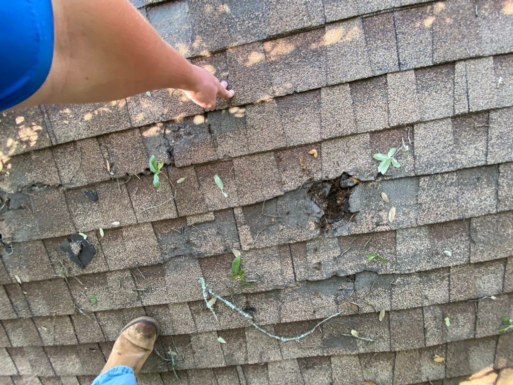 Austin homeowner dealing with a roof leak