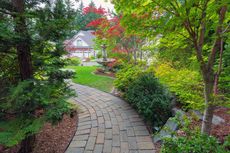 A brick walkway leading to a house surrounded by trees and bushes.