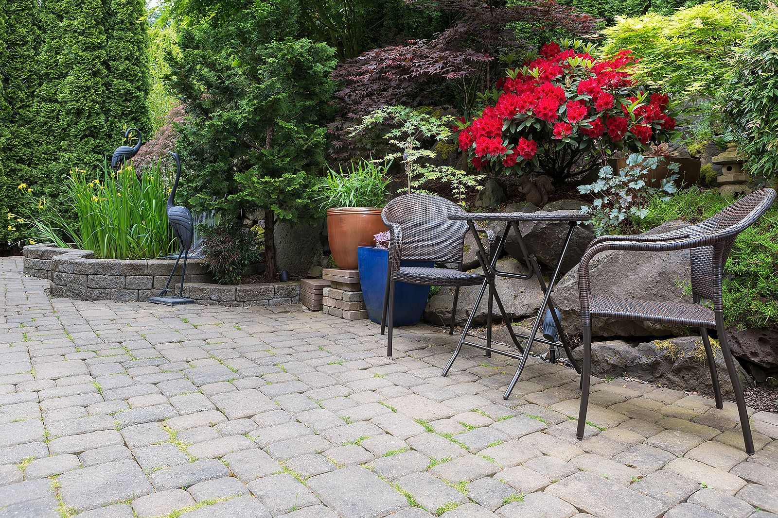 A patio with chairs , a table and potted plants.