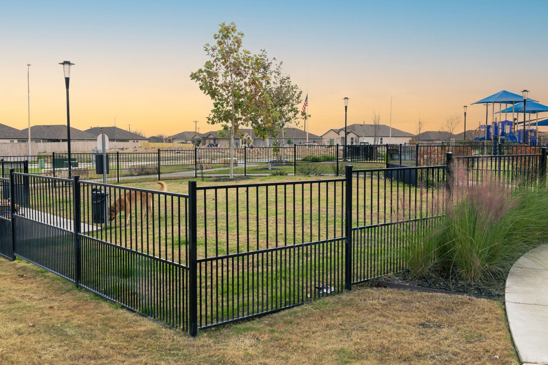 Black fenced dog park with green grass, small tree, and playground in the background. Evening sky.