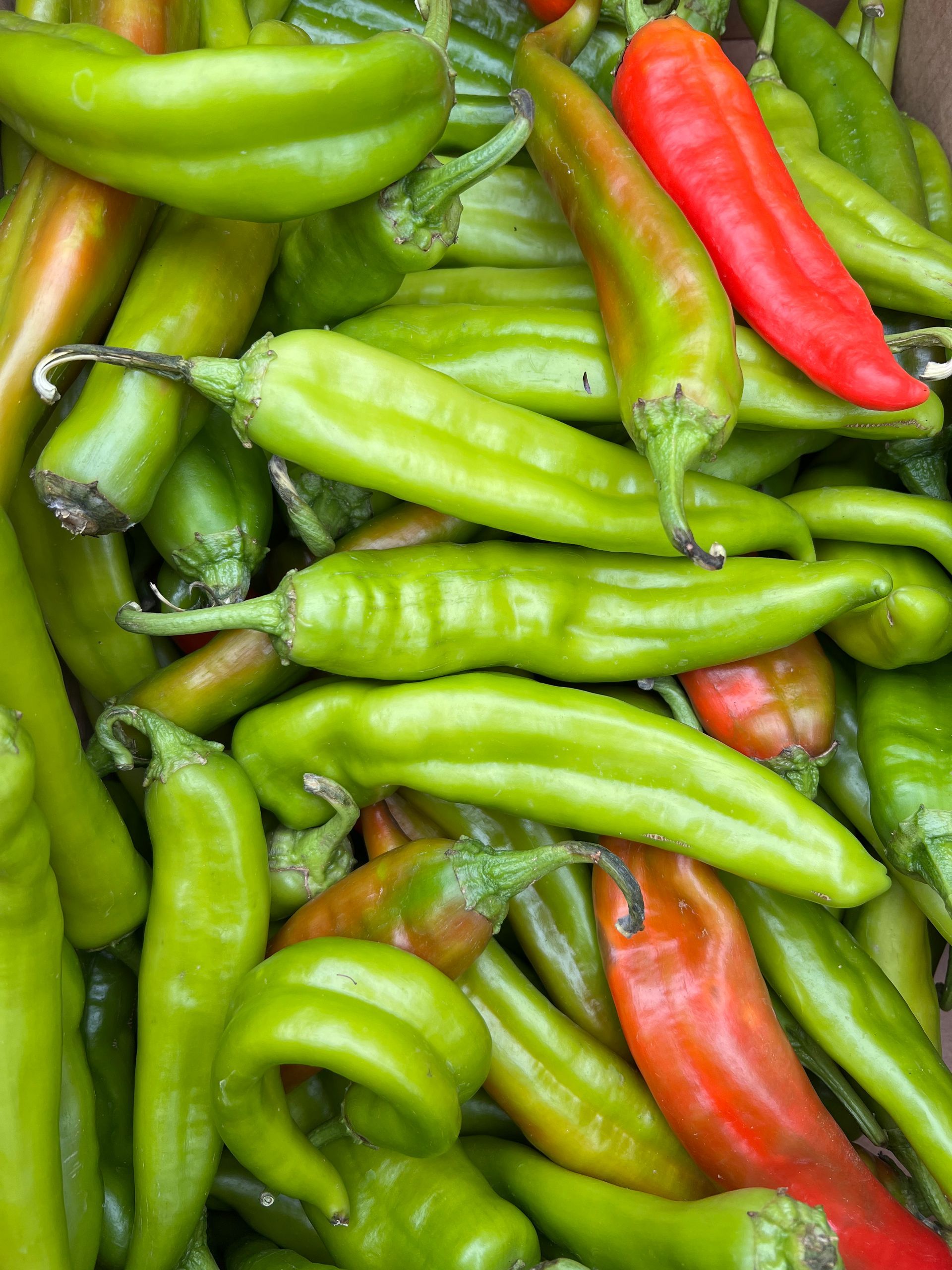 A pile of green and red peppers with a red pepper in the middle
