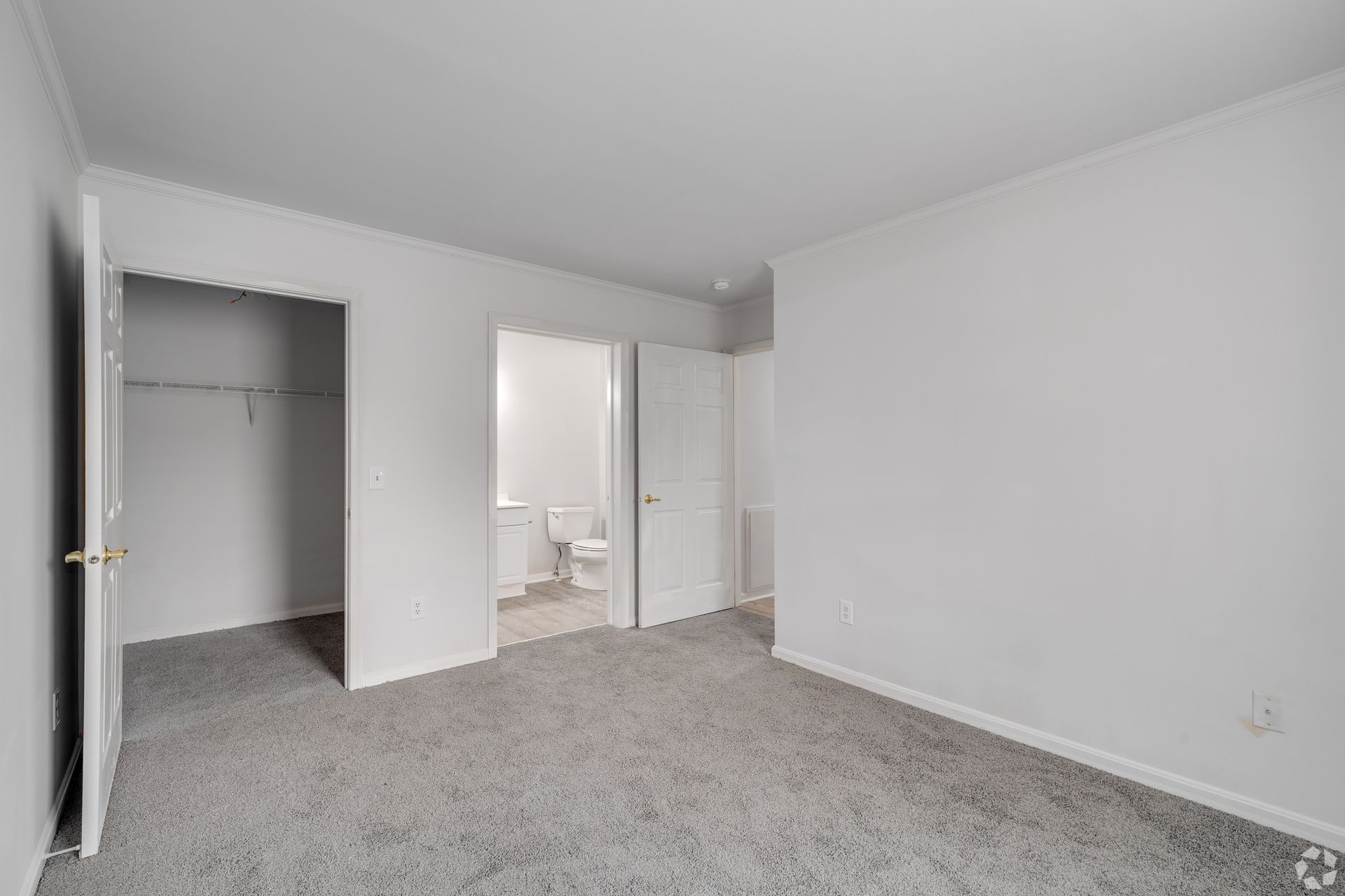 Empty bedroom with gray carpet, white walls, closet, and bathroom doorway.