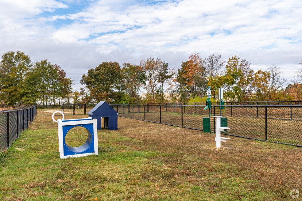 Dog park with agility equipment on a grassy field, fenced in. Trees in the background, blue sky.