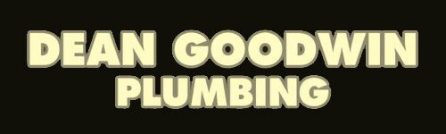 Dean Goodwin Plumbing: Your Gas Heater Service in the Illawarra