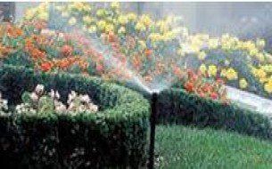Lawn Irrigation - Saluda, VA - Bayscapes LLC