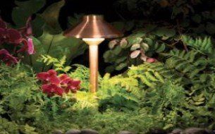 Plant Lighting - Saluda, VA - Bayscapes LLC