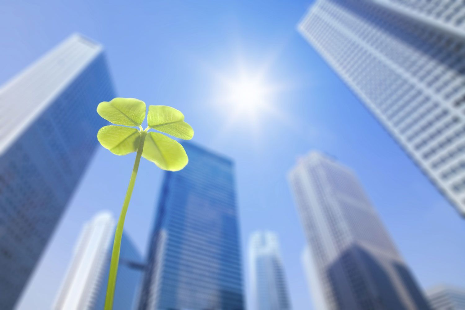 indagini qualitative e quantitative