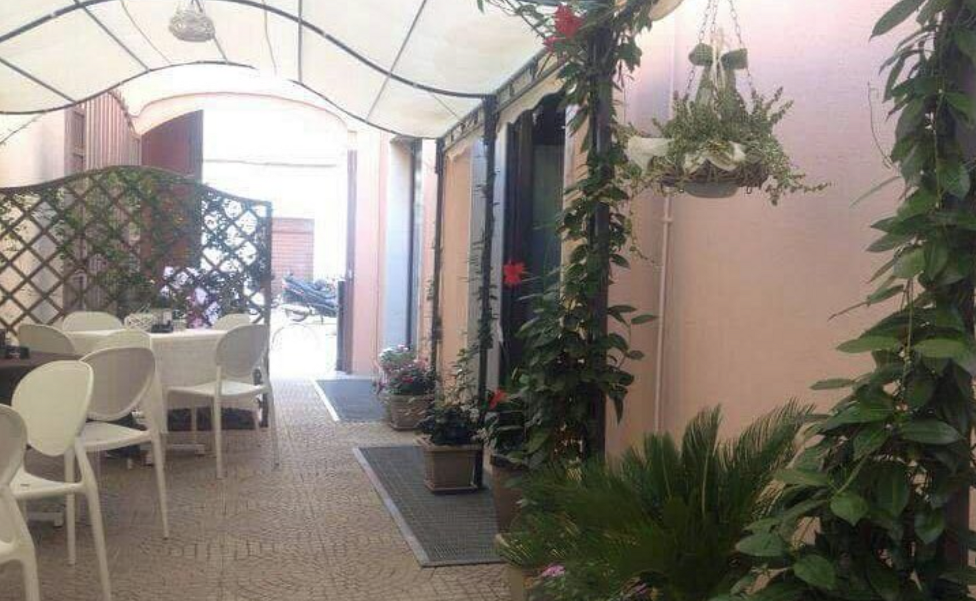 Zona pranzo all'aperto con sedie e tavoli bianchi sotto una tettoia. Rampicanti e piante in vaso decorano lo spazio.