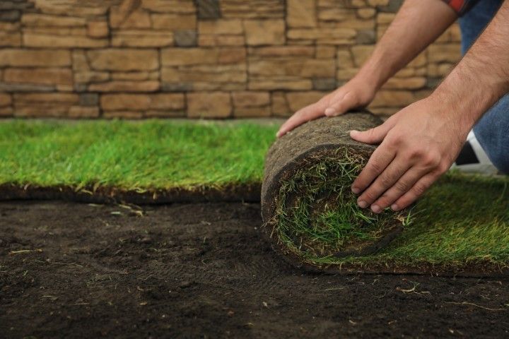 Hands rolling out fresh green sod over dark soil in a yard.