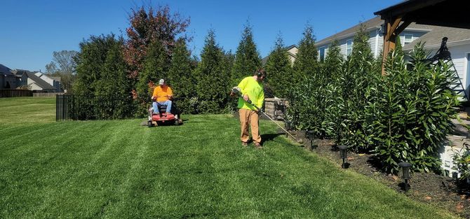 Two workers mowing and trimming a green lawn beside a hedge on a sunny day