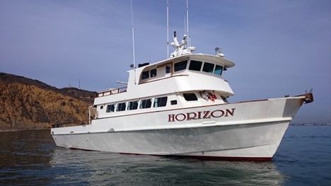 1-1/2 Day Trip for 2 Sports Fishing